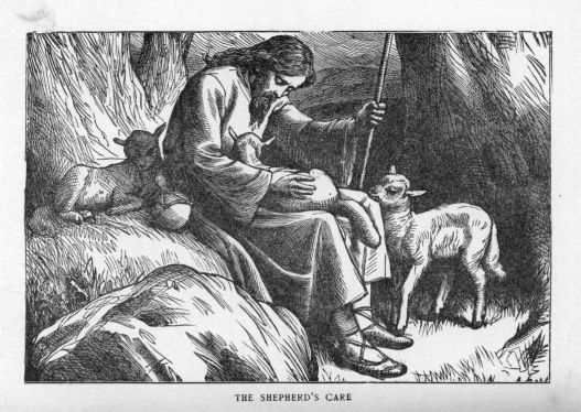 The shepherd's care.