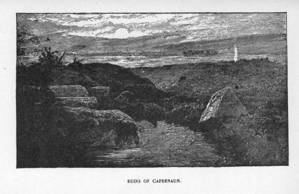 Ruins of Capernaum.