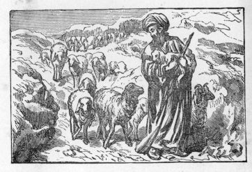 The shepherd's care (3rd version).