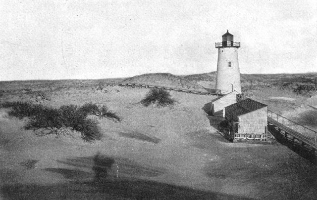 Dunes at Ipswich Light, Massachusetts. Note the
effect of bushes in arresting the movement of the wind-blown sand.