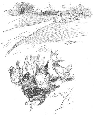 A Hen Conference