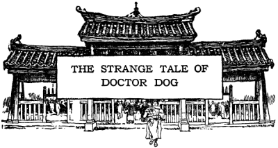 THE STRANGE TALE OF DOCTOR DOG