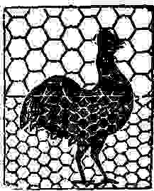 (iron rooster fencing)