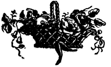 D�coration