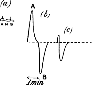 Fig. 26.—Diphasic Variation