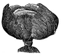 Stone Mason. Stone Mason.