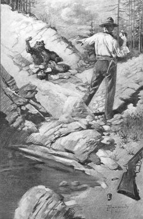 Dave seized a fair-sized stone and hurled it at the bear.—Page 293.