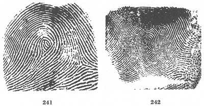 Figs. 241-242 Figs. 241-242