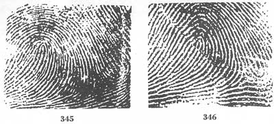 Figs. 345-346 Figs. 345-346