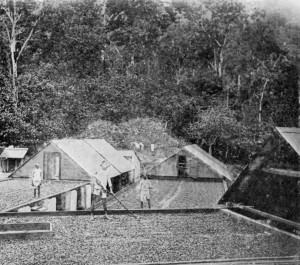 DRYING PLATFORMS, TRINIDAD, WITH SLIDING ROOFS.