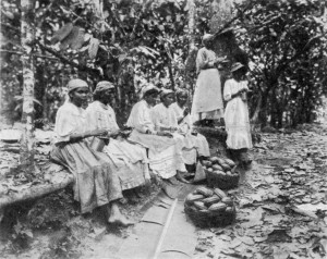 WORKERS ON A CACAO PLANTATION.
(Messrs. Cadbury's estate in Trinidad.)
