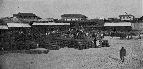 FORESHORE AT ACCRA, WITH STACKS OF CACAO READY FOR SHIPMENT
Reproduced by permission of the Editor of "West Africa".