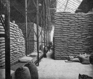 PART OF A CACAO BEAN WAREHOUSE, SHOWING ENDLESS BAND CONVEYOR.
(Messrs. Cadbury Bros'. Works, Bournville).