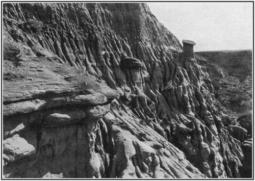 Fig. 48.: Locality of Ankylosaurus skull in Edmonton formation in Red Deer River. The skull is in the rock just above the pick, about the center of the photograph.