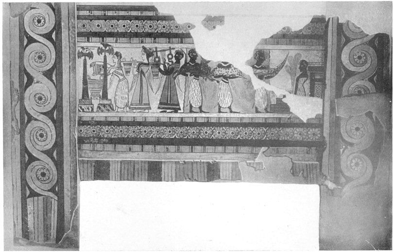 Plate XXVIII