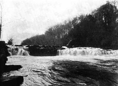 Salmon Leap Salmon Leap