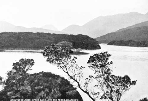 Arbutus Islands Arbutus Islands