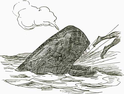 CONFESSION CONFESSION