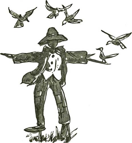 THE SCARE-CROW THE SCARE-CROW
