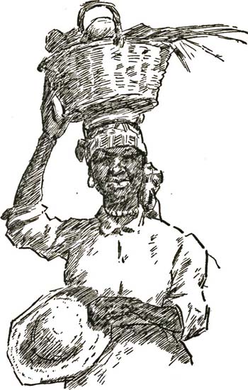 THE SCARE-CROW THE SCARE-CROW