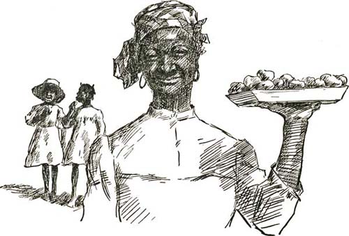 THE PERSIMMON THE PERSIMMON