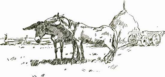 IN HARNESS IN HARNESS