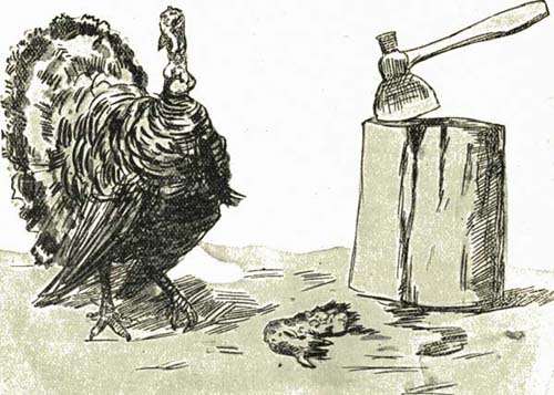 THE TURKEY-GOBBLER THE TURKEY-GOBBLER