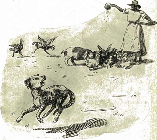 A GUILTY CONSCIENCE A GUILTY CONSCIENCE