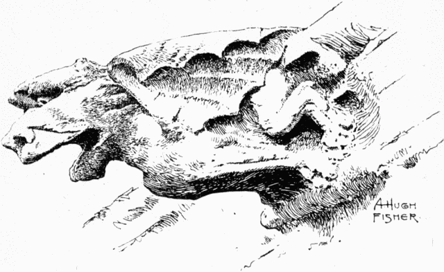 A GARGOYLE IN THE CLOISTERS. DRAWN BY A. HUGH FISHER. Illustration: A GARGOYLE IN THE CLOISTERS. DRAWN BY A. HUGH FISHER.