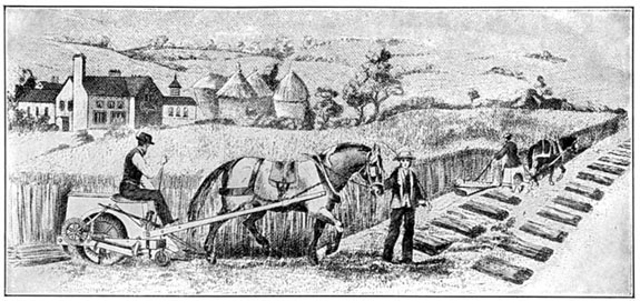 Hussey's Side-Delivery Reaper As Used in England. (From An
Old Print)