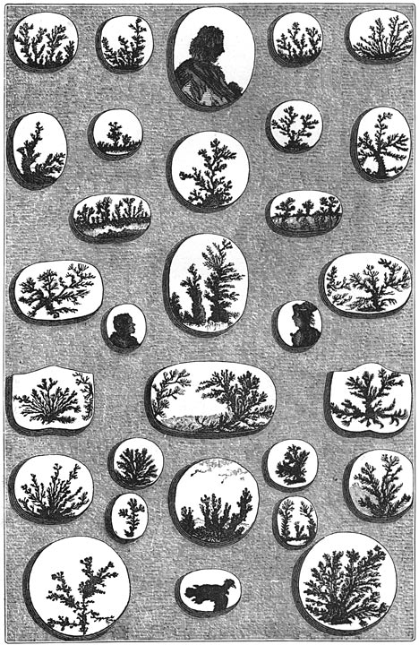 Fig. 61. Agaatsteenen met merkwaardige figuren.