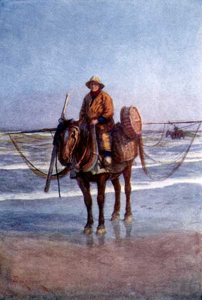 A SHRIMPER ON HORSEBACK, COXYDE.