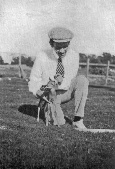 TAMED DEER TAMED DEER