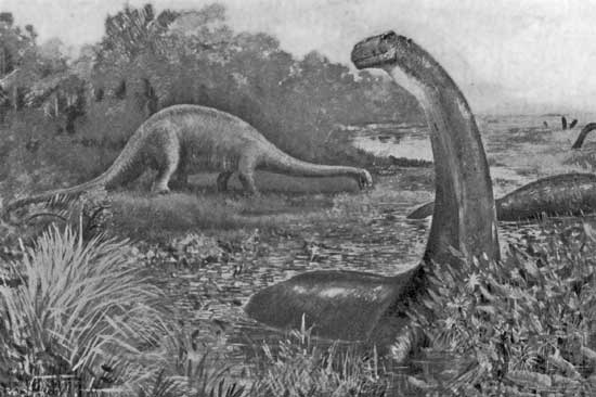 BRONTOSAURUS BRONTOSAURUS