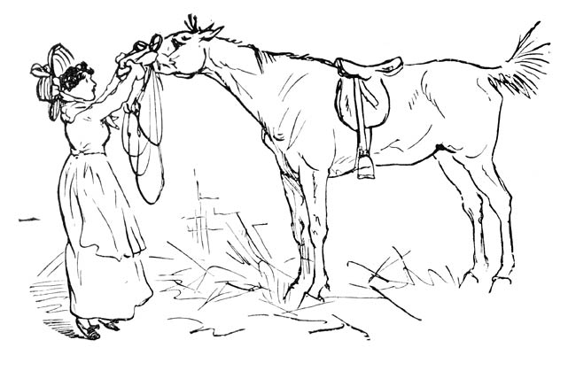Woman handling horse.