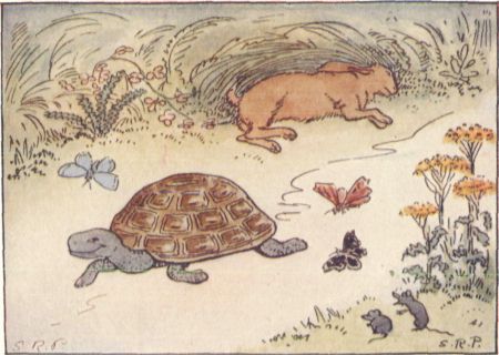 The Tortoise and the Hare.