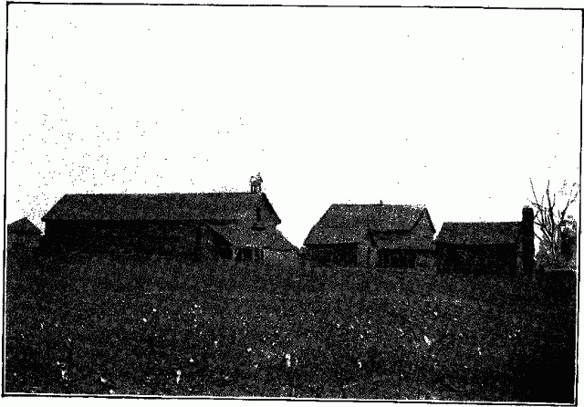 [Illustration: FARM BUILDINGS, ENFIELD, N. C.]