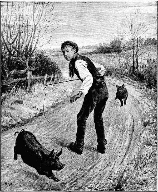 "One pig went squealing down the road."