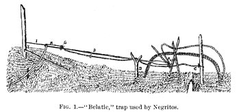 FIG. 1.—“Belatic,” trap used by Negritos.