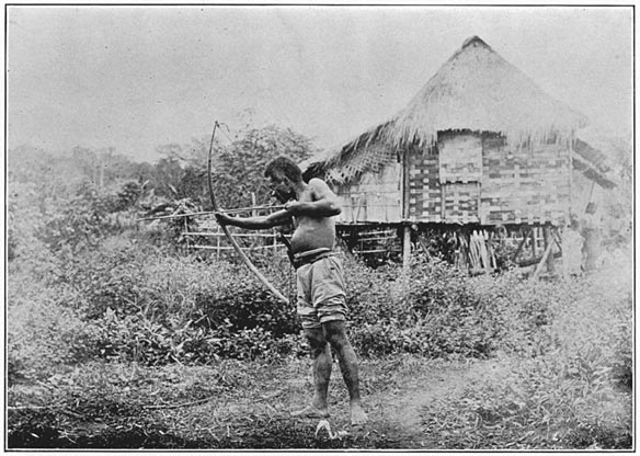 Negrito man of Negros (emigrant from Panay) drawing a bow.