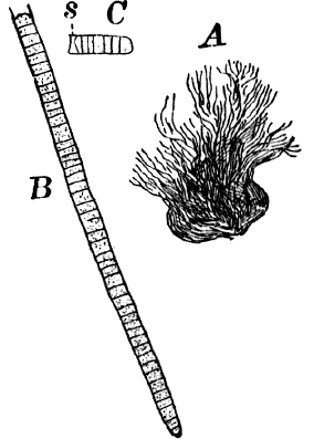 Fig. 6.