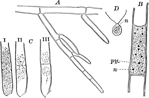 Fig. 13.