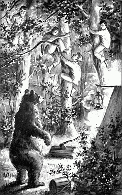 The announcement of the bear by Davy Jones was succeeded by a mad scramble of every boy to reach a place of safety. Page 48.