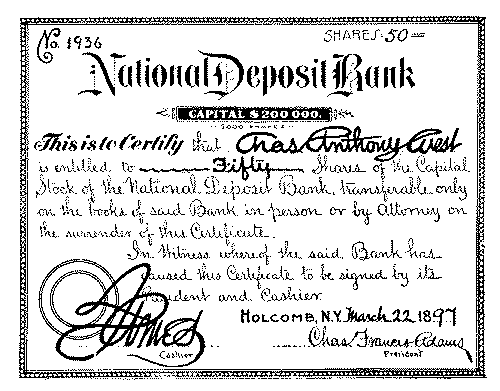 A certificate of stock in a national bank.