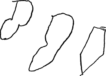 Drawing shows two wavy blobs and then something like a pentagon.