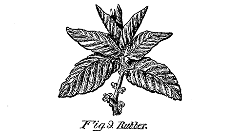 Fig. 9. Rubber.