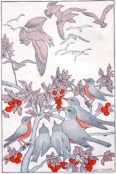 They sat in an apple tree and watched the gulls swooping and soaring through the air. (Page 76) (Exciting Adventures of Mr. Robert Robin)