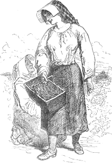 woman with basket