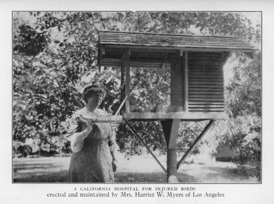 A California hospital for injured birds, erected and maintained by Mrs. Harriet W. Myers of Los Angeles