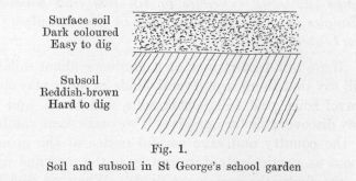 Fig. 1.  Soil and subsoil in St George's school garden